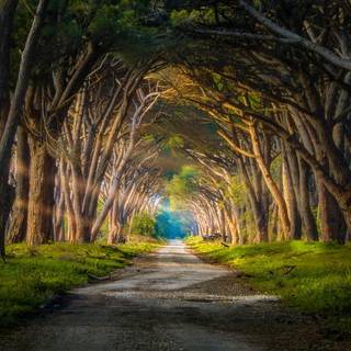 Hobbit desktop wallpaper