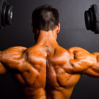 HD wallpaper bodybuilders