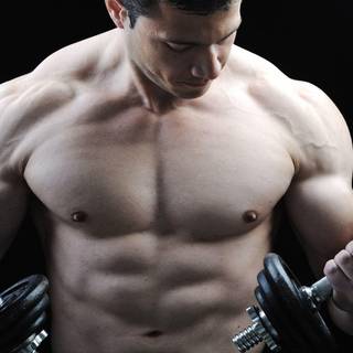 HD wallpaper bodybuilders