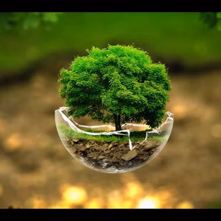 Wallpaper HD 1920x1080 nature