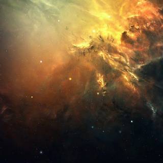 Ass wallpaper full HD