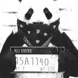 Panda funk wallpaper