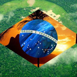 Brasil wallpaper
