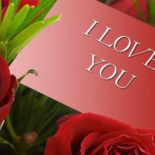 I love you f wallpaper