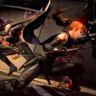 Ninja gaiden kasumi wallpaper