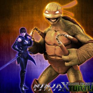 Ninja gaiden kasumi wallpaper