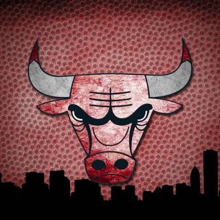 Bulls wallpaper