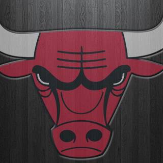 Bulls wallpaper
