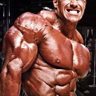 Jay Cutler wallpaper