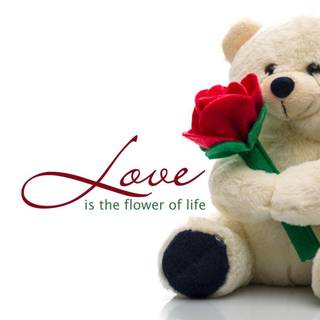 Cute teddy bears wallpaper for mobile