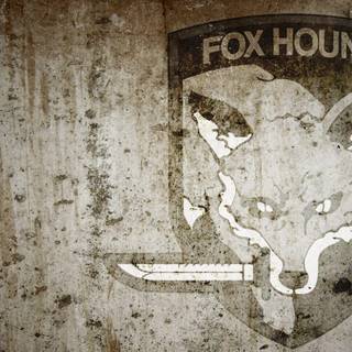 Foxhound wallpaper HD