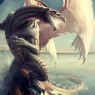 Drachen wallpaper HD