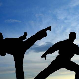 Martial arts wallpaper HD