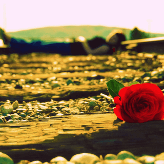 Cool love lost wallpaper