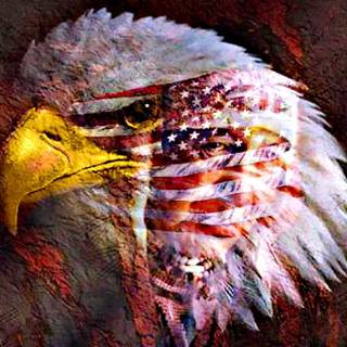 American eagle wallpaper
