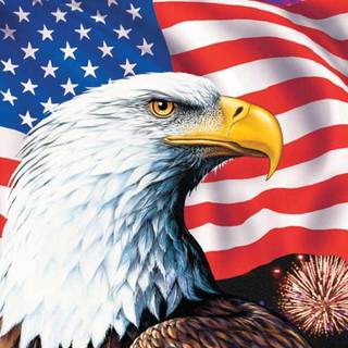 American eagle wallpaper