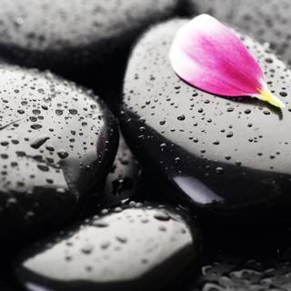 Nature love wallpaper HD