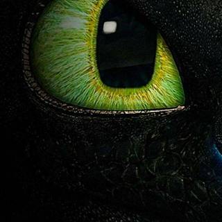 Toothless wallpaper phone