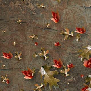 Antique vintage wallpaper