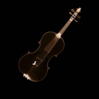 White violin wallpaper