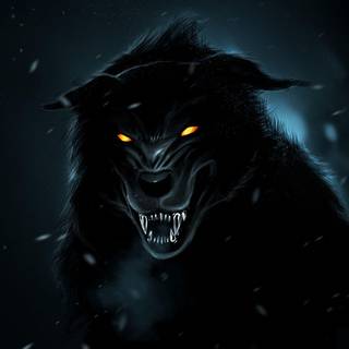 HD wolf wallpaper