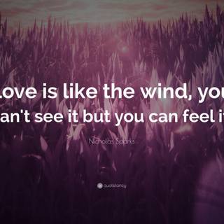 Love quotation wallpaper