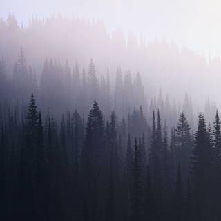 Tumblr wallpaper hipster