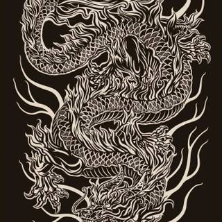 Yin yang dragon tiger wallpaper