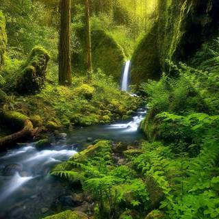 HD fairyland wallpaper