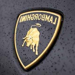 Lamborghini logo wallpaper HD
