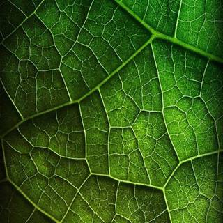 Wallpaper samsung s3