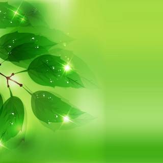 Cool white and green background