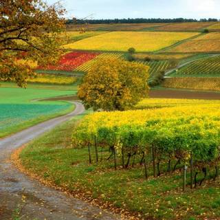 Scenery wallpaper HD