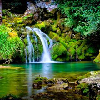 Beautiful nature wallpaper with quotes