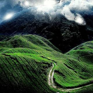 Beautiful nature wallpaper with quotes