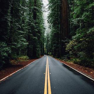 Beautiful road wallpaper