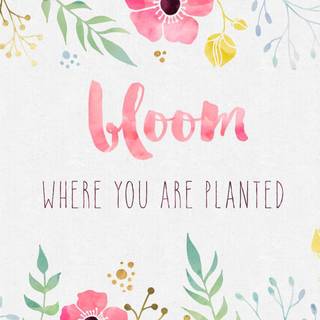 Wallpaper laptop cute