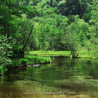 Nature wallpaper High Resolution