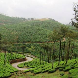 Kerala nature desktop wallpaper