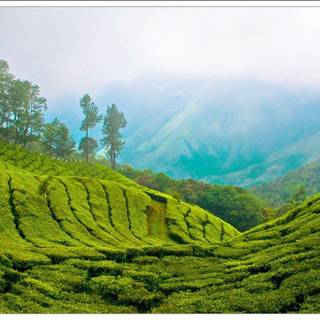 Kerala nature desktop wallpaper
