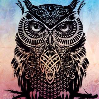 Owl background