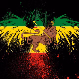 Rasta lion wallpaper HD