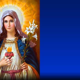 Immaculate heart of mary wallpaper