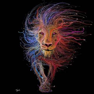 Lion on black background