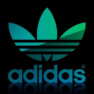 Ahoodie desktop wallpaper