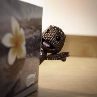 Sackboy wallpaper HD
