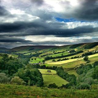 British countryside wallpaper