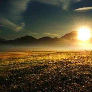 British countryside wallpaper