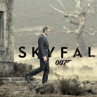 James bond 007 wallpaper skyfall