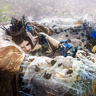 Sleeping beauty wallpaper